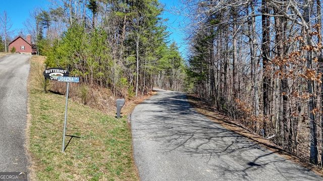 LOT 10 Firefly Ridge, Blairsville, GA 30512
