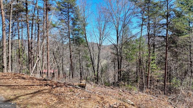 LOT 10 Firefly Ridge, Blairsville, GA 30512
