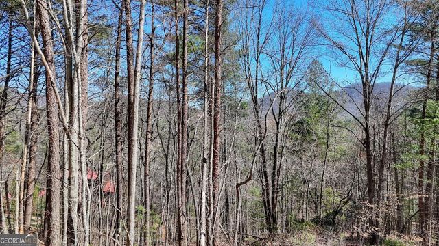 LOT 10 Firefly Ridge, Blairsville, GA 30512