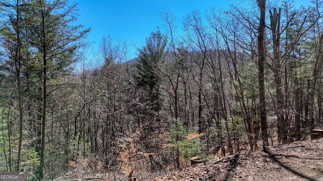 LOT 10 Firefly Ridge, Blairsville, GA 30512