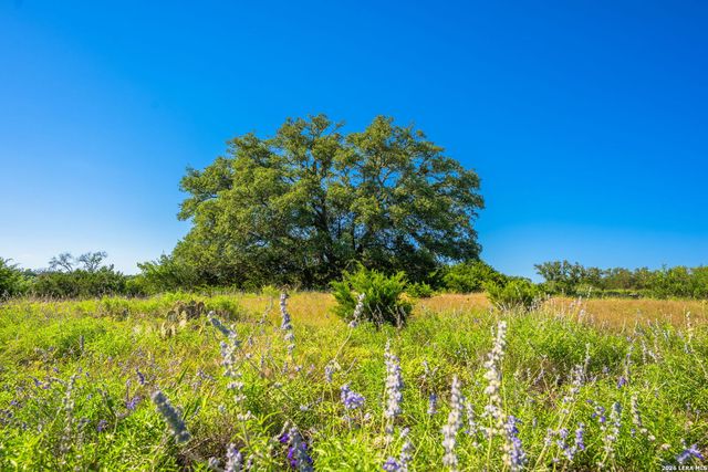 0A FM 2093, Fredericksburg, TX 78624