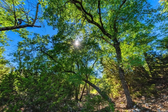 0A FM 2093, Fredericksburg, TX 78624