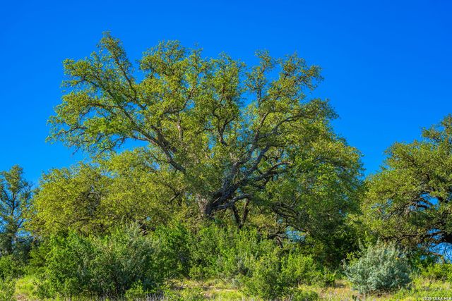 0A FM 2093, Fredericksburg, TX 78624