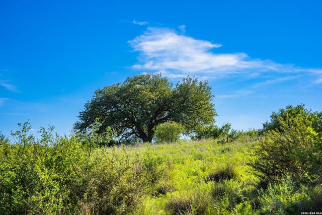 0A FM 2093, Fredericksburg, TX 78624