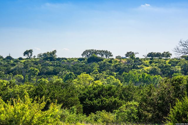 0A FM 2093, Fredericksburg, TX 78624