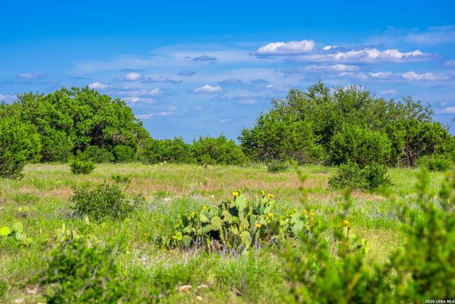 0A FM 2093, Fredericksburg, TX 78624