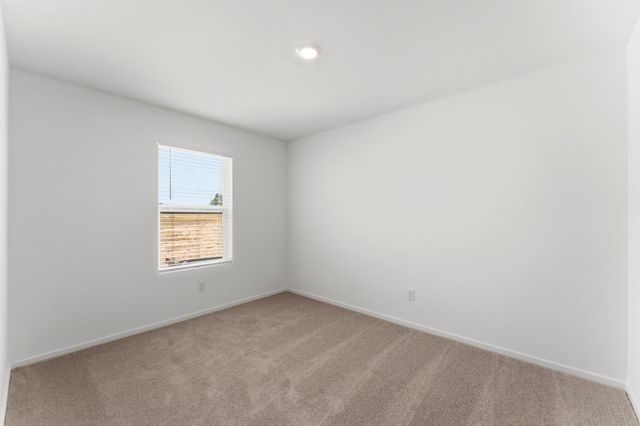 6213 Alder Creek Drive, Montgomery, TX 77316