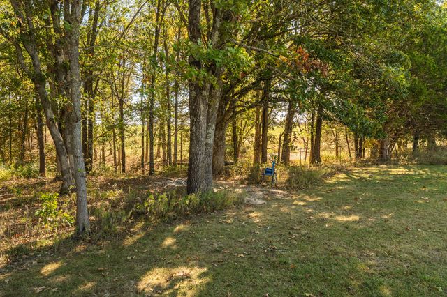202 Brookside Drive, Seymour, MO 65746