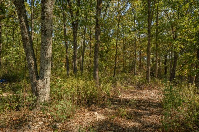 202 Brookside Drive, Seymour, MO 65746