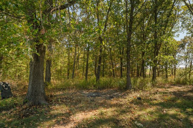 202 Brookside Drive, Seymour, MO 65746