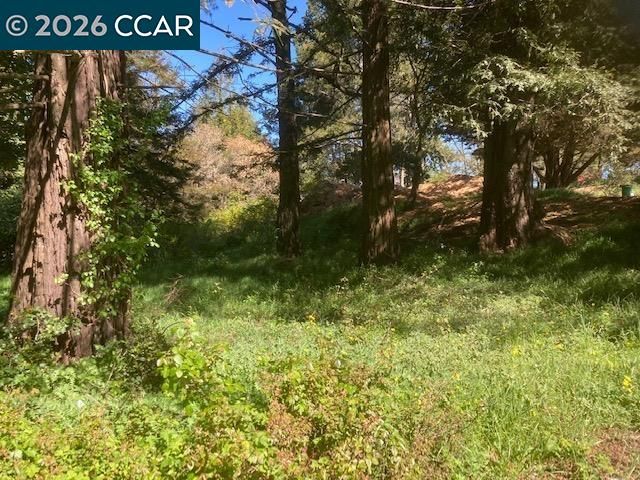 0 Skyline Blvd., Oakland, CA 94619