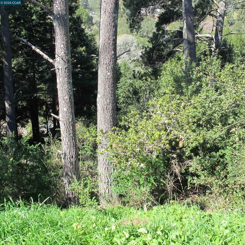 0 Skyline Blvd., Oakland, CA 94619