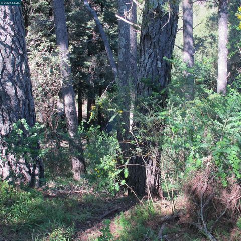 0 Skyline Blvd., Oakland, CA 94619