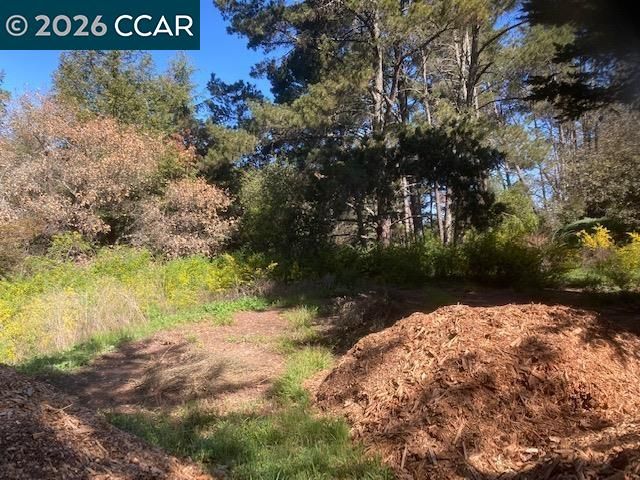 0 Skyline Blvd., Oakland, CA 94619