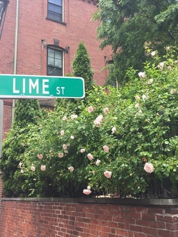 20 Lime 33, Boston, MA 02108