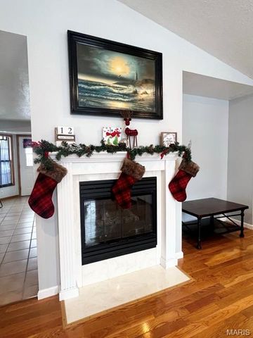 10 Hibiscus Lane, Hannibal, MO 63401