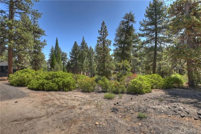 38602 Talbot, Big Bear Lake, CA 92315