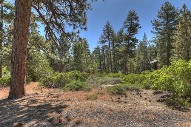 38602 Talbot, Big Bear Lake, CA 92315