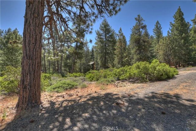 38602 Talbot, Big Bear Lake, CA 92315