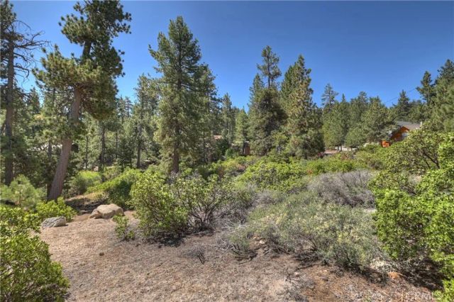 38602 Talbot, Big Bear Lake, CA 92315