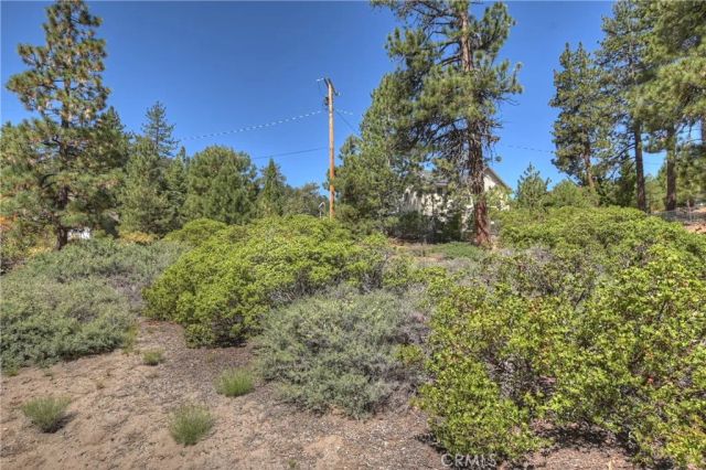 38602 Talbot, Big Bear Lake, CA 92315