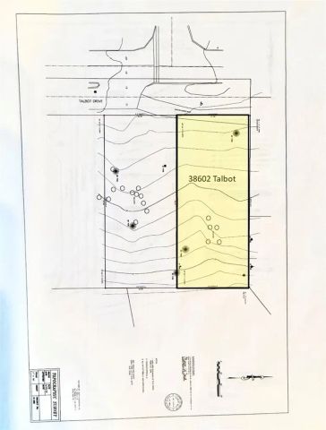 38602 Talbot, Big Bear Lake, CA 92315