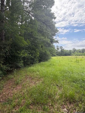 TBD 7.45 Acres Belgian Road, Holden, LA 70744