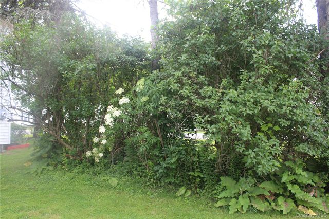 196 Rockland Road, Roscoe, NY 12776
