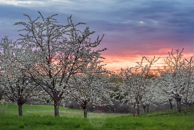 1830 S West Bay Shore Drive, Suttons Bay Twp, MI 49682