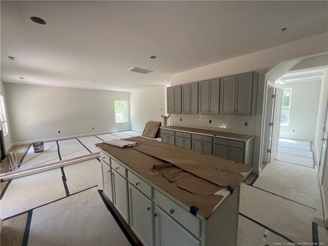 517 Grand Griffon Way, Lillington, NC 27546