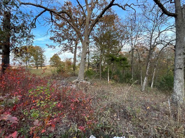 000 Tbd, Theodosia, MO 65761