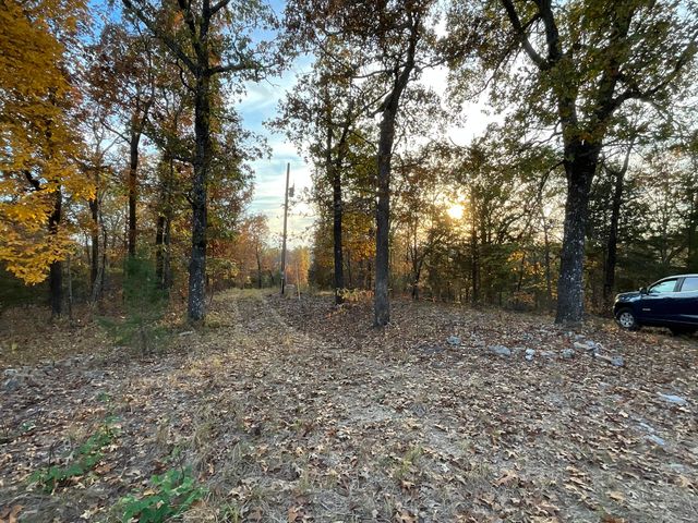 000 Tbd, Theodosia, MO 65761