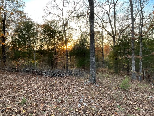 000 Tbd, Theodosia, MO 65761