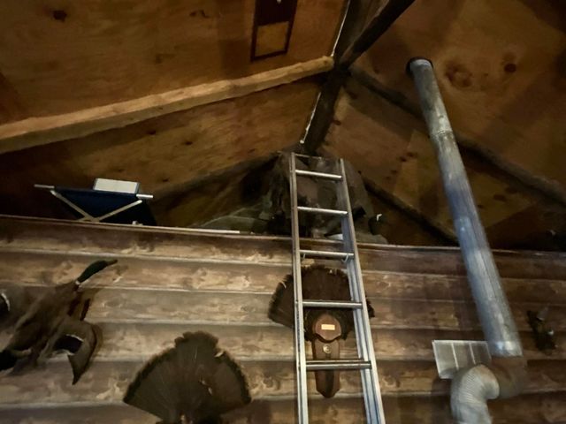 000 Tbd, Theodosia, MO 65761