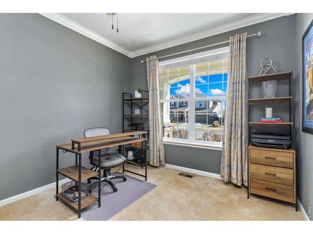 6772 Rainier Rd, Timnath, CO 80547