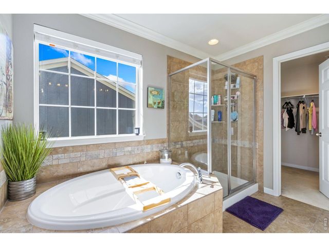 6772 Rainier Rd, Timnath, CO 80547