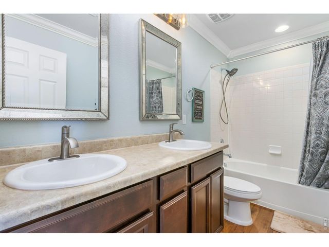 6772 Rainier Rd, Timnath, CO 80547