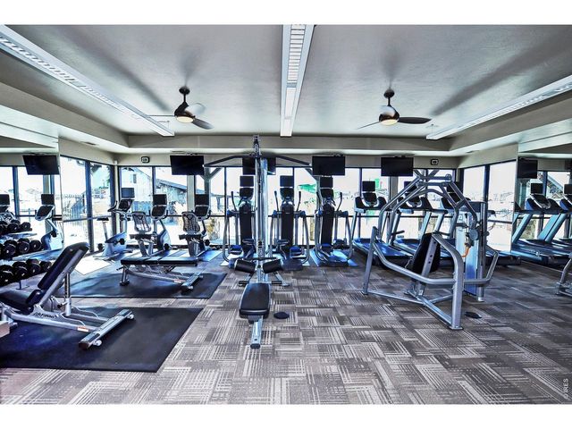 6772 Rainier Rd, Timnath, CO 80547