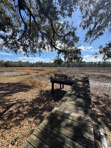 17645 NE 61ST STREET ROAD, Silver Springs, FL 34488