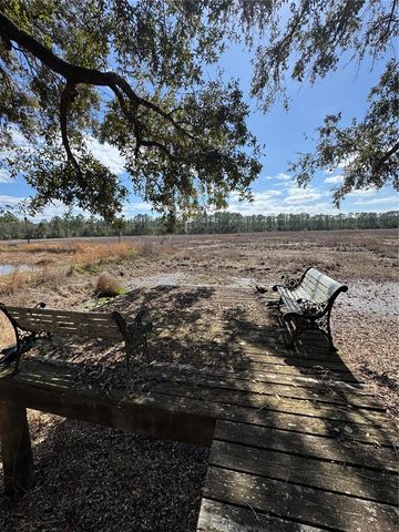 17645 NE 61ST STREET ROAD, Silver Springs, FL 34488