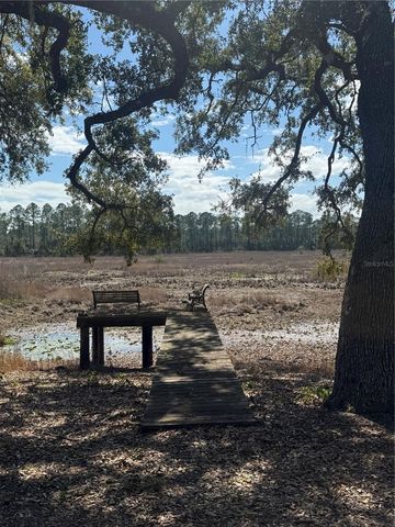 17645 NE 61ST STREET ROAD, Silver Springs, FL 34488