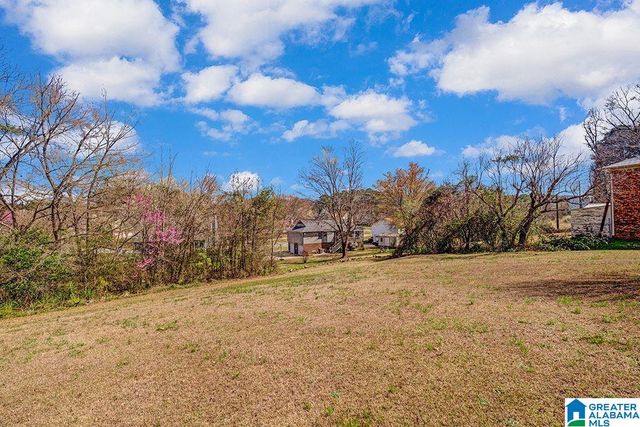 1238 BUNTING DRIVE, Alabaster, AL 35007