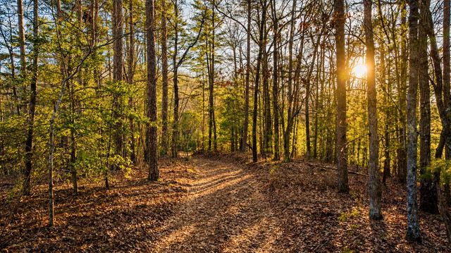 178 Arp Road, Mineral Bluff, GA 30559