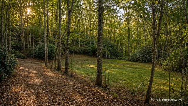 178 Arp Road, Mineral Bluff, GA 30559