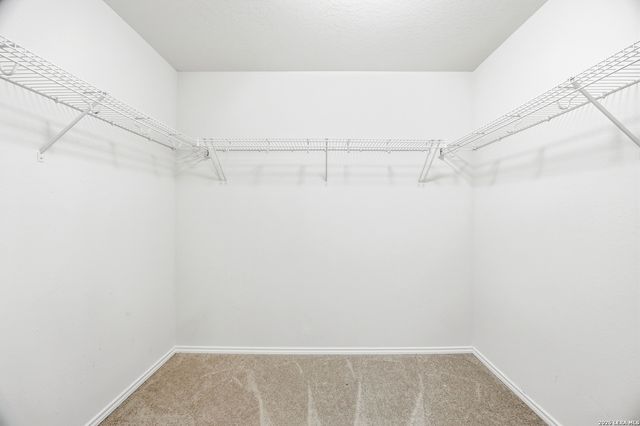 11235 Long Rider, San Antonio, TX 78254