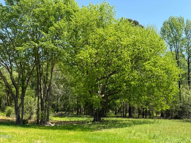 5545 Silk Hope Gum Springs Road, Siler City, NC 27344