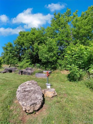 0000 Highway E, Fredericktown, MO 63645