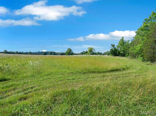 0000 Highway E, Fredericktown, MO 63645