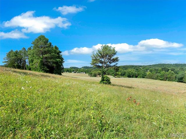 0000 Highway E, Fredericktown, MO 63645