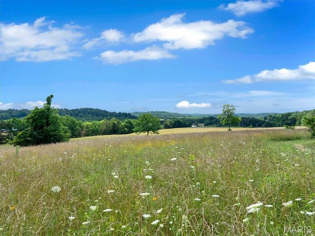 0000 Highway E, Fredericktown, MO 63645
